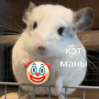 Телеграм стикер 🐹 сахалыы кыыллар