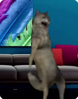 Video sticker 🐺 Больше стиков тут: @stikery4