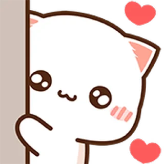Video sticker 🥰 Peach @ChentsJournal
