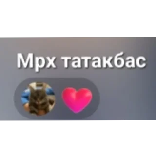 Telegram sticker 👍 @r9sul