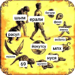 Video sticker 🖼 @r9sul