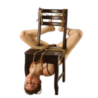 Telegram sticker 🪑 Doctor Fiddler Shibari