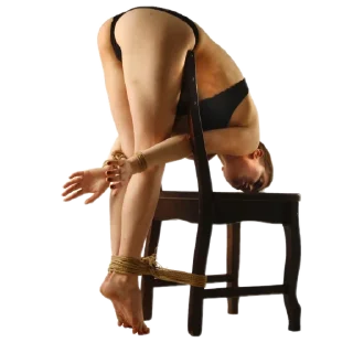 Telegram sticker ✋ Doctor Fiddler Shibari