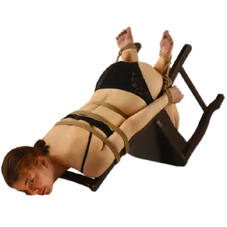 Telegram sticker 🪑 Doctor Fiddler Shibari