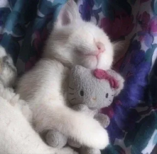 Video sticker 🤩 Больше стикеров тут: @stikery_emodzi_memy