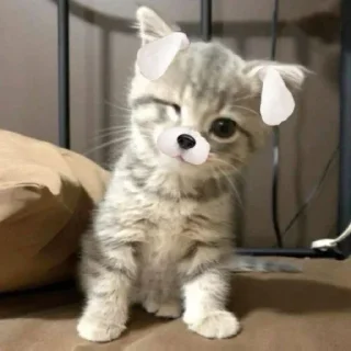 Telegram sticker 🤩 Больше стикеров тут: @stikery_emodzi_memy