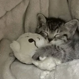 Video sticker 🤩 Больше стикеров тут: @stikery_emodzi_memy