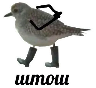 Telegram stiker 🐦 Koteyka by @fStikBot