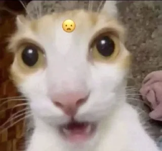 Telegram sticker 😦 Kekaaa<3 :: :: @fStikBot