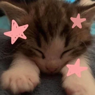 Telegram sticker 🤩 Kekaaa<3 :: :: @fStikBot