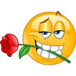 Video sticker 🌹 Le Pack de Sidjey