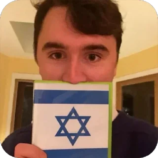 Video sticker 🇮🇱 moneyway