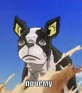 Video sticker 🌟 Больше стиков тут: @stikery4