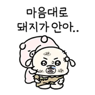 Video sticker ⭐ 왕초 복슬이를 돌봐주실래요? @moe_sticker_bot