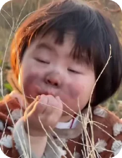 Video sticker 🌟 𝙎𝙃𝘼𝙍𝙆 :: @fStikBot