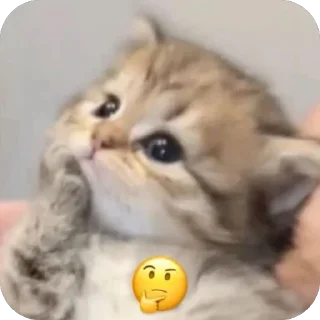 Video sticker 🫥 Далбичи