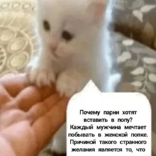 Video sticker 👎 @iameball @xansticks