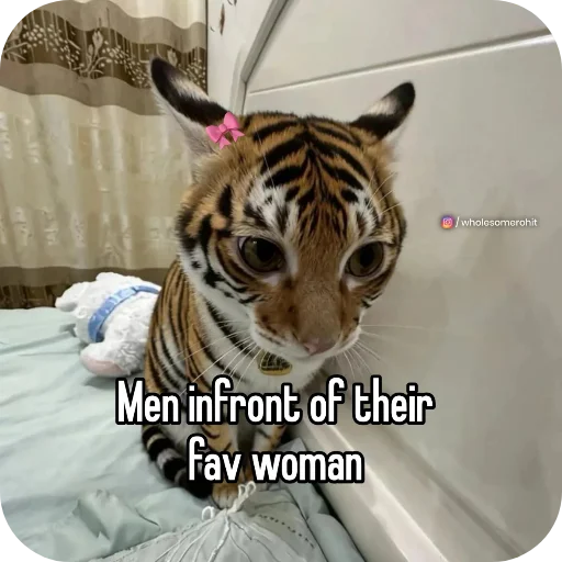 Telegram stiker 🐱 𝑬𝒗𝒂𝒏𝒐𝒊𝒄'𝒔 𝒑𝒂𝒄𝒌 @evanoic
