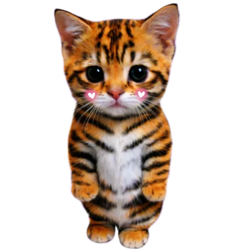 Telegram stiker 🐱 𝑬𝒗𝒂𝒏𝒐𝒊𝒄'𝒔 𝒑𝒂𝒄𝒌 @evanoic