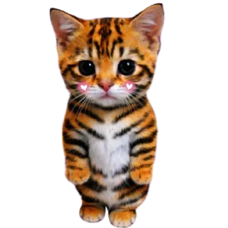 Video sticker 🐱 𝑬𝒗𝒂𝒏𝒐𝒊𝒄'𝒔 𝒑𝒂𝒄𝒌 @evanoic