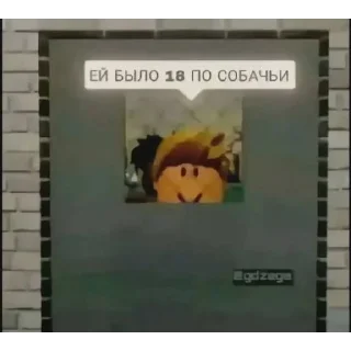 Video sticker 🥹 Больше стиков тут: @mkioz