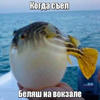 Telegram sticker 🐡 MG Unlocal Stickers