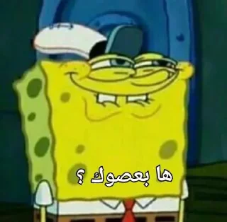 Video sticker 🧽 « @ucucc »