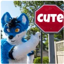 Video sticker ☺️ Seppl Random¹ (bySebwolf)