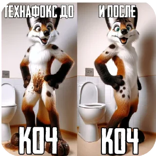 Video sticker 🐱 КОЧ БРАТАН КОЧ @bosinn_edits