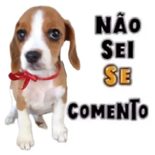 Video sticker 🐶 🐶