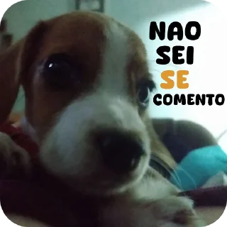Sticker 🐶 🐶