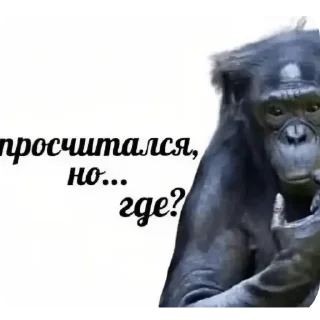 Video sticker 🗿 Всякая всячина @TgEmodziBot
