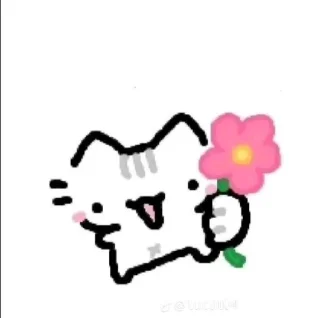 Video sticker 🌸 little kitty <3 (@BerryL4dy)