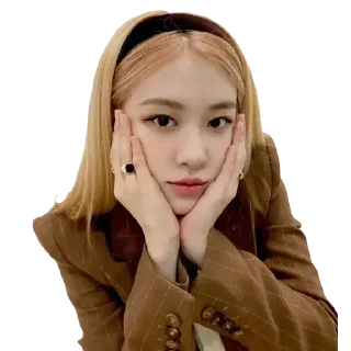Telegram sticker 😌 Blackpink 14