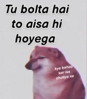 Video sticker 🤔 кคкครн¡×нãțaҟês kang pack