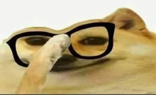 Telegram sticker 🤓 кคкครн¡×нãțaҟês kang pack