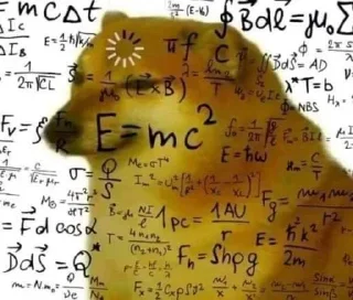 Telegram sticker 🤔 кคкครн¡×нãțaҟês kang pack