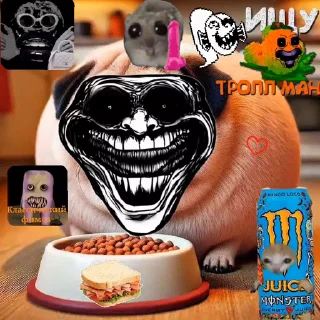 Video sticker 🤩 Флуд "Рангику, наливай!" @MoiStikiBot