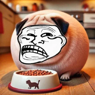 Telegram sticker 🤩 Флуд "Рангику, наливай!" @MoiStikiBot