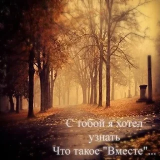 Телеграм стикер ❤️ @nenlloi :: @fStikBot