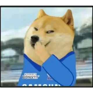 Video sticker 😂 ᴅᴏɢᴇ ᴘᴀᴄᴋ ᴠ4 || @ITS_KING_HYPER