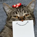 Telegram sticker 🌝 Cats 🐈 - By; @Sr_Anonymous