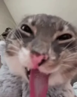 Video sticker 🌟 @xuanwastaken i want to live