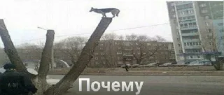 Телеграм стикер 😒 Больше стиков тут: @stikery4