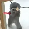 Video sticker 😬 мадиники @...