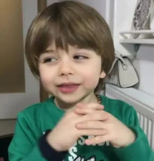 Telegram sticker 🦥 Rapid