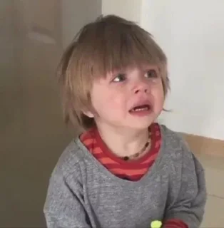 Video sticker 🐳 Rapid