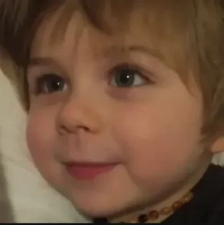 Video sticker 🐳 Rapid