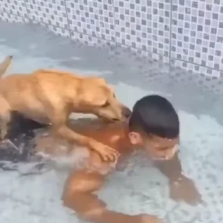 Video sticker 😡 𝙈૦𝐍𝙎ɛ