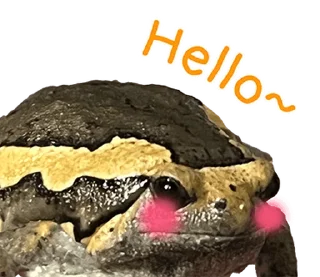 Sticker 😂 @JKSSTIK30